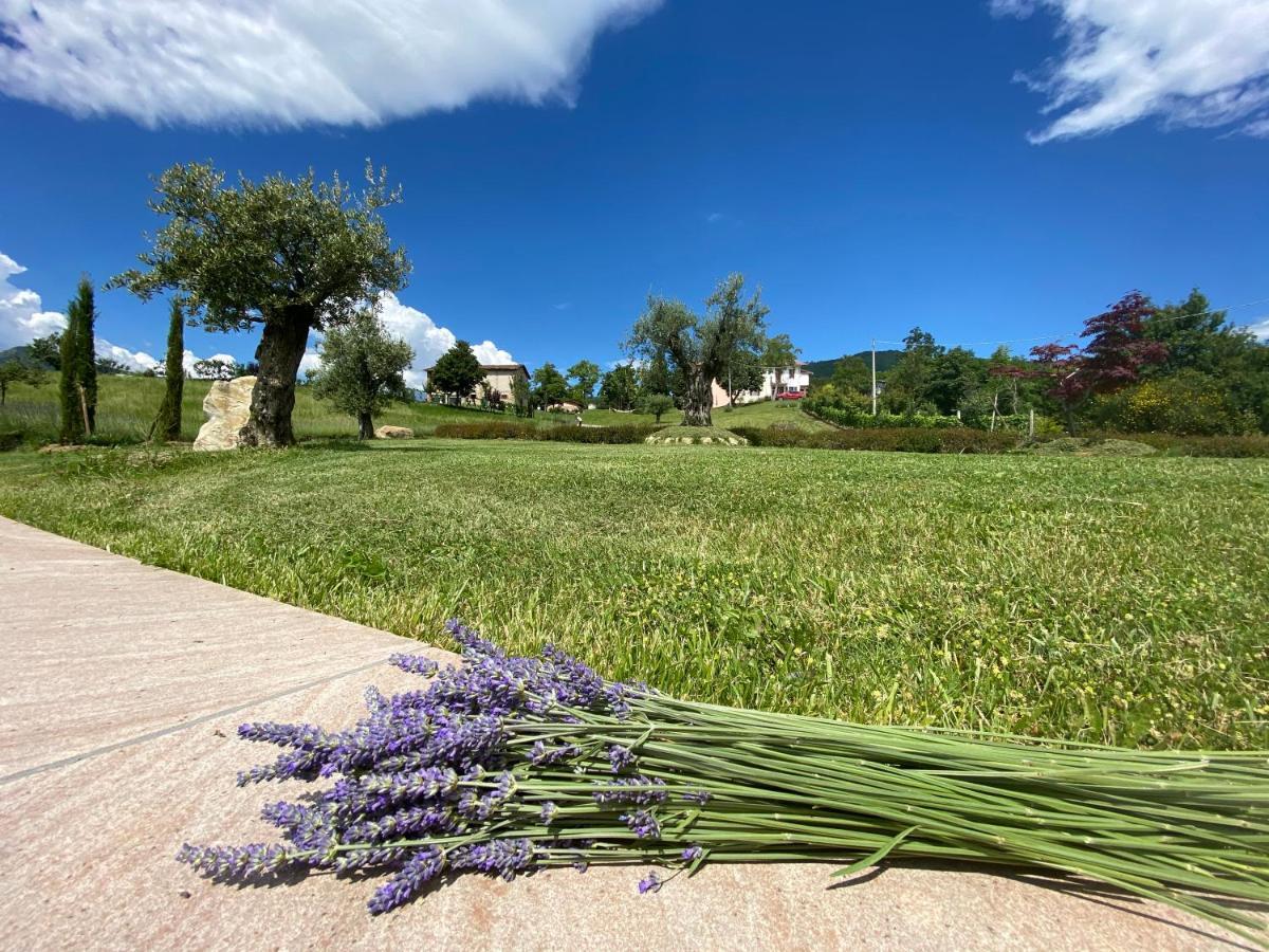 L'Oca Giuliva Relais Bed & Breakfast Gaggio Montano Bagian luar foto